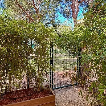 T2 Peaceful Pine Forest Swimming Pool Tennis Ac * Fréjus